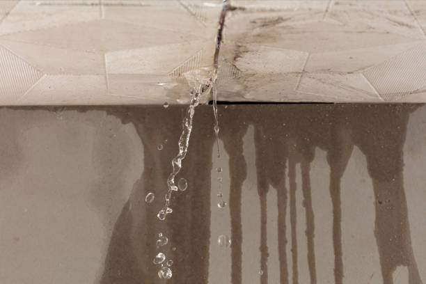 Professional Structural Drying technician working in Mabank, TX